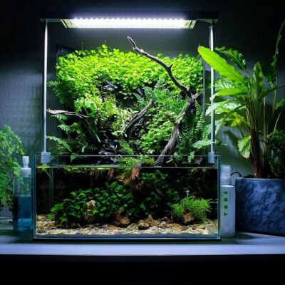 Vivarium